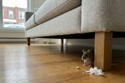 gestion parasitaire résidentielle